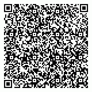 vCard 79041099151