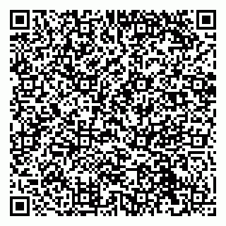 vCard 79041099181