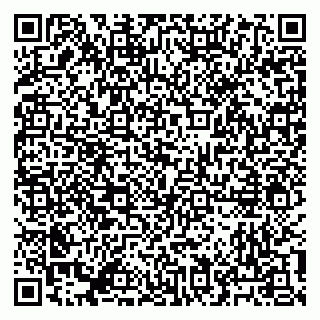 vCard 79041100000
