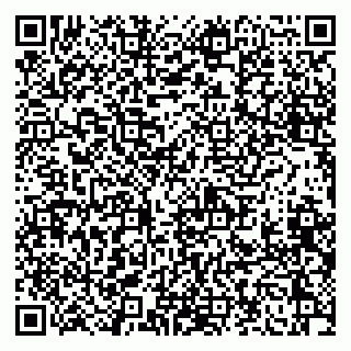 vCard 79041100091