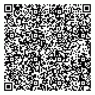 vCard 79041100293