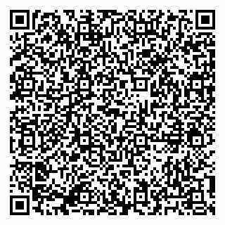 vCard 79041100294