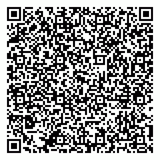 vCard 79041100303