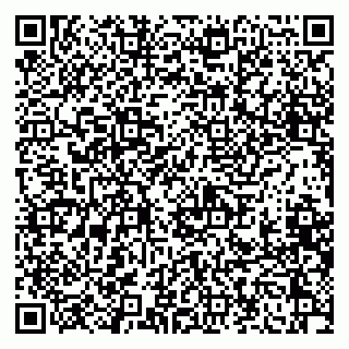vCard 79041100318