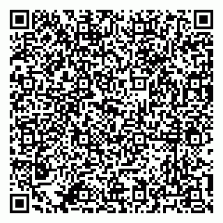 vCard 79041100333