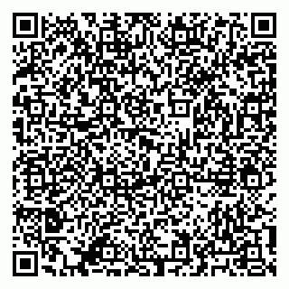 vCard 79041100381