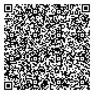 vCard 79042180384