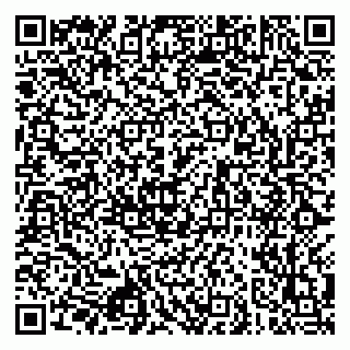 vCard 79043000339