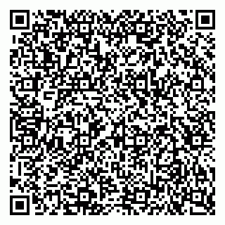 vCard 79043000370