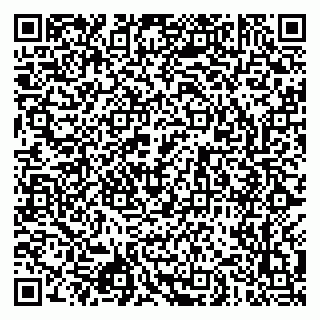 vCard 79043000381