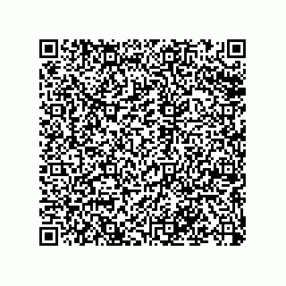 vCard 79043100020