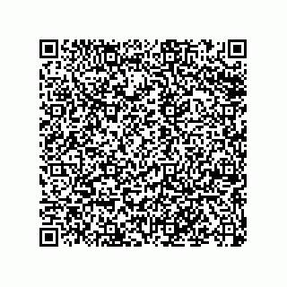 vCard 79043100081