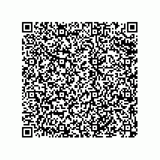 vCard 79043100163