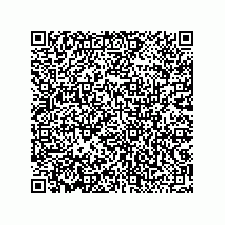 vCard 79043100273