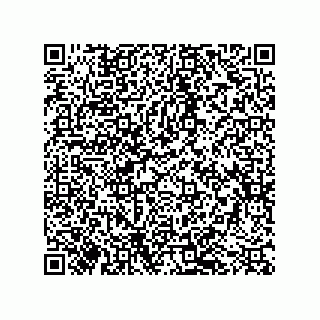vCard 79043100297