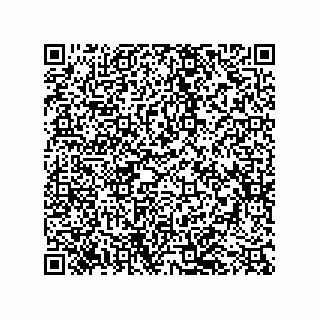 vCard 79043100313