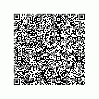 vCard 79043100330