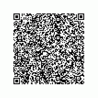 vCard 79043100370
