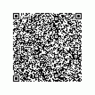 vCard 79043100379