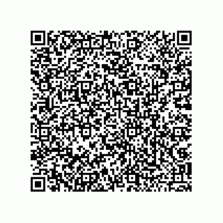 vCard 79043100380