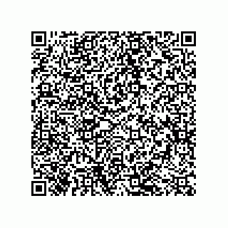 vCard 79043100397