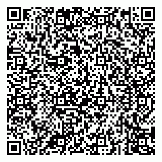 vCard 79043200296