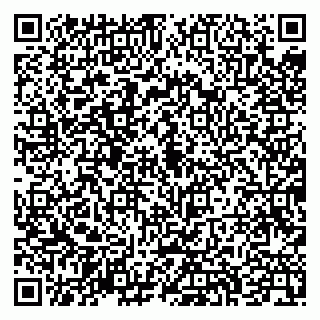 vCard 79043200311