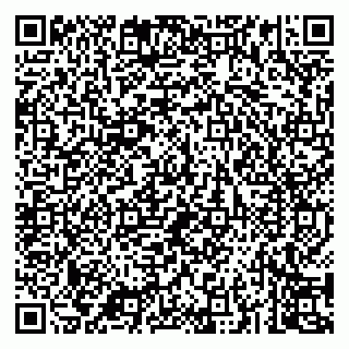 vCard 79043200317