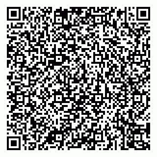 vCard 79043200319