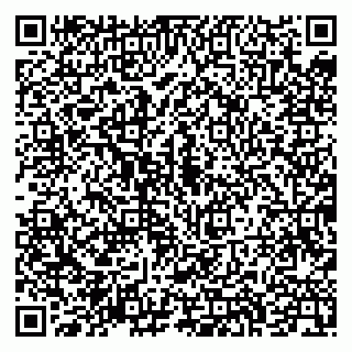 vCard 79043200329