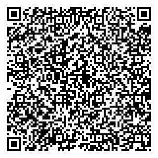 vCard 79043200331