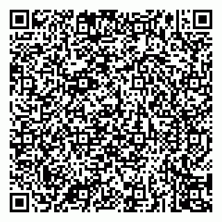 vCard 79043200335