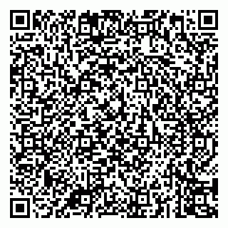 vCard 79043200387