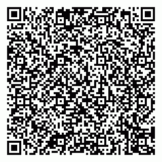 vCard 79043200389