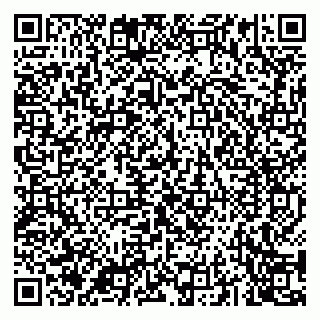vCard 79043200411