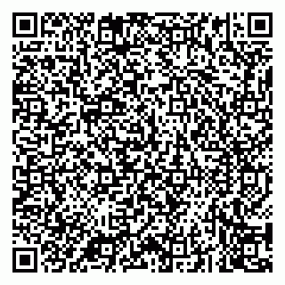 vCard 79043200513