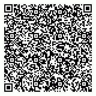 vCard 79043200629