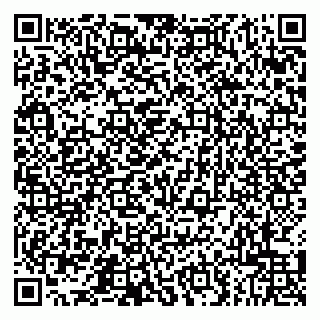 vCard 79043500035