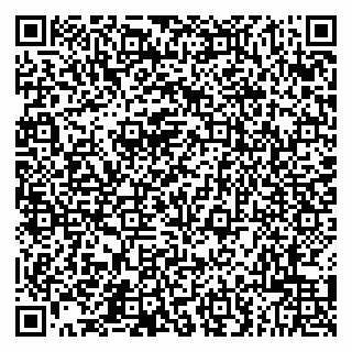 vCard 79043500040
