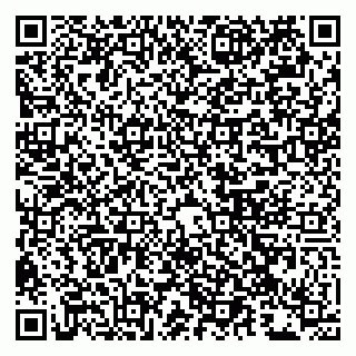 vCard 79043500089