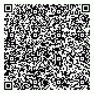 vCard 79043500297