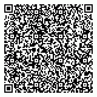 vCard 79043500298