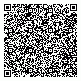 vCard 79043500313