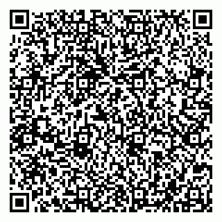 vCard 79043500314