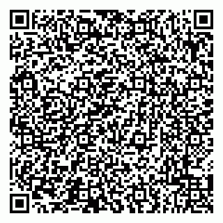 vCard 79043500320