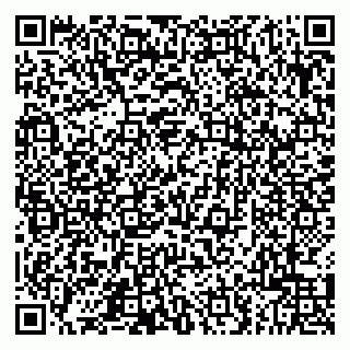 vCard 79043500328
