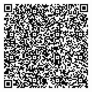 vCard 79043500389