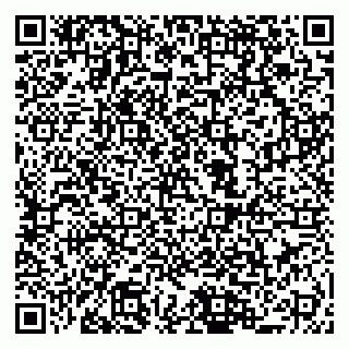 vCard 79044580381