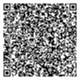 vCard 79044580387