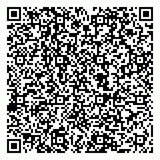 vCard 79044582385